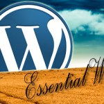 Essential About WordPress – Three Infographics, One Video Essential About WordPress - Three Infographics, One Video