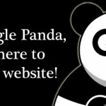 Hello! I'm Google Panda and I'm here to kill your website!