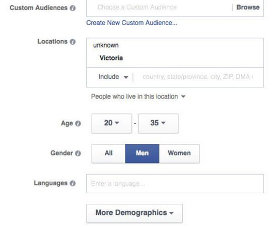 Go Past Custom Audiences With Lookalike Audiences