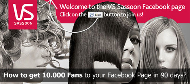 How To Get 10.000 Fans To Your Facebook Page in 90 Days?