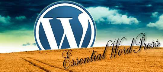 Essential About WordPress - Three Infographics, One Video