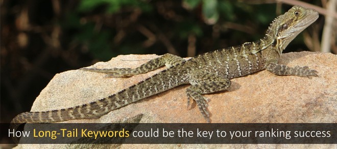 How Long Tail Keywords Could Be The Key To Your Ranking Success