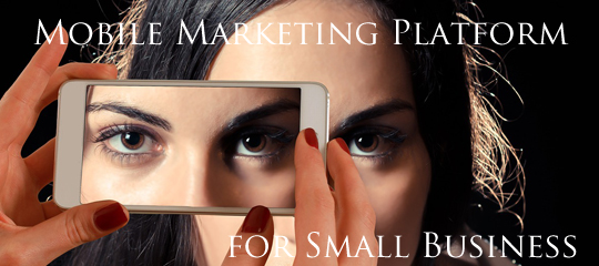 Mobile Marketing Platform for Small Business - Infographic