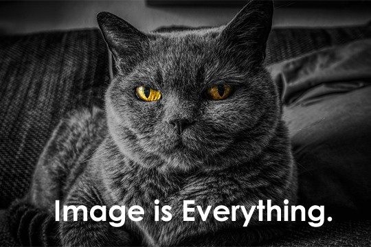 Image is Everything - Social Media Revolver