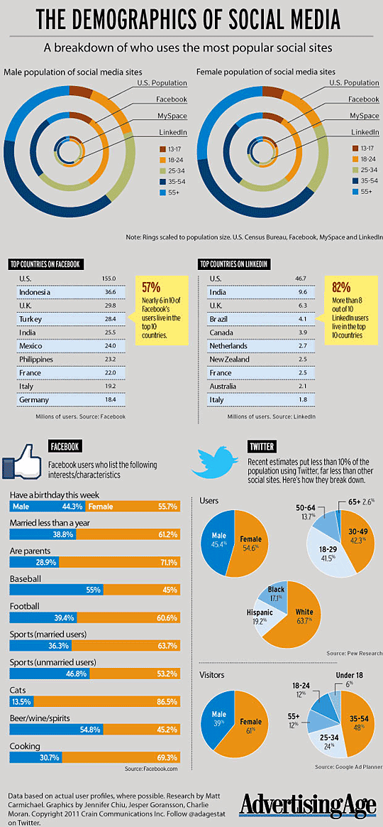 Social Media Demographics Infographic