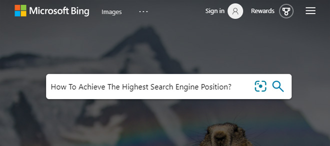 How To Achieve The Highest Search Engine Position?