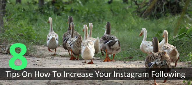 8 Tips On How To Increase Your Instagram Following