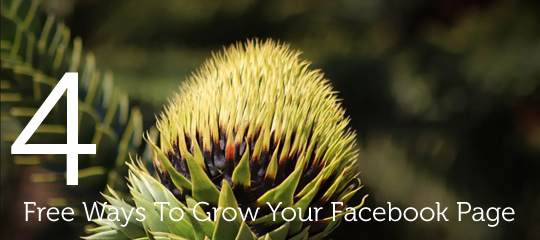 4 Free Ways To Grow Your Facebook Page