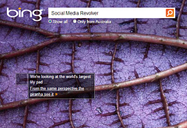 Bing search engine - Alternative to Google