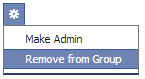 Removing fake account from Facebook Group