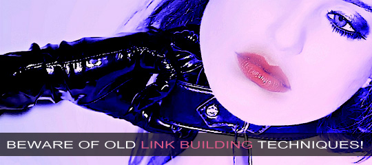 Beware Of Old Link Building Techniques! You May Never Get On The First Page.